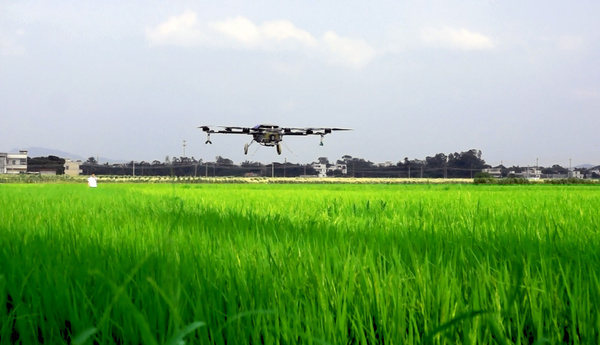 在农业中使用无人机的好处及应用实例